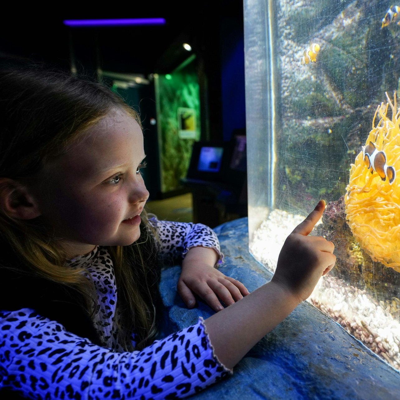 SEA LIFE Great Yarmouth: Entry Ticket - Photo 1 of 5